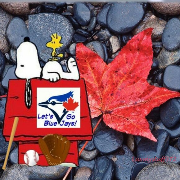 ๐๐โพ๏ธGO JAYS GO!!!!!!!!!!!! SHARE if you are a Blue Jays Fan!!!!!!!! - Picture 1 of 5